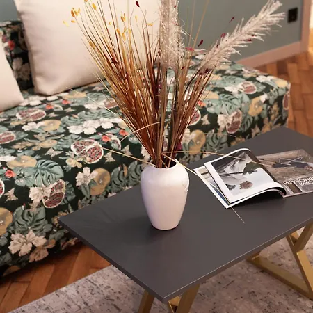 公寓 Alfa Valova 16